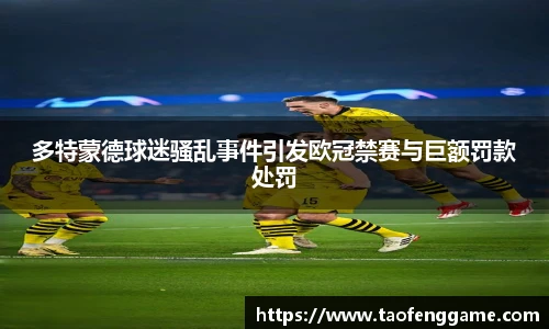 多特蒙德球迷骚乱事件引发欧冠禁赛与巨额罚款处罚