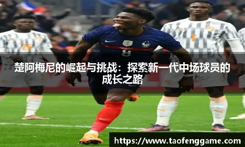彩神VI首页官网