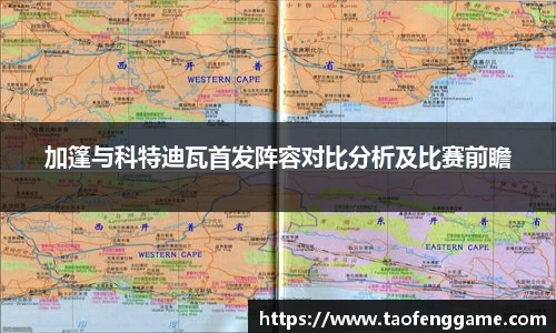 彩神彩票vIII