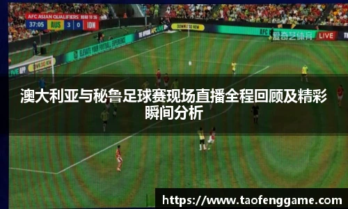 彩神VI首页官网