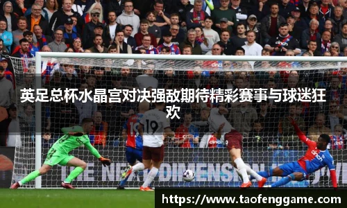 英足总杯水晶宫对决强敌期待精彩赛事与球迷狂欢
